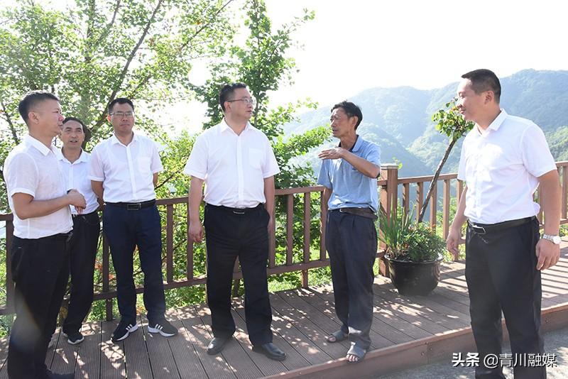 蒿溪回族乡最新交通新闻