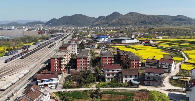 预见2025,全年免费精准资料的实用释义与实施策略 - 科技 -.