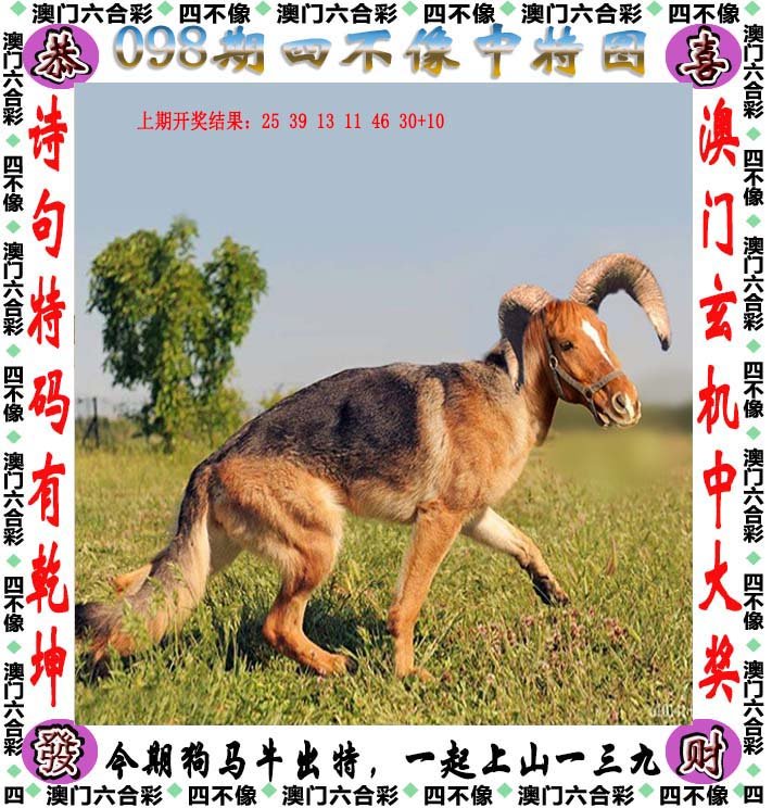 2025澳门最准四不像下载,科学解答解释落实_6m79.75