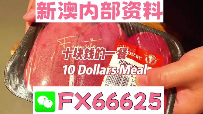 新澳精准资料免费提供网站—揭秘背后的秘密与真相|回忆版
